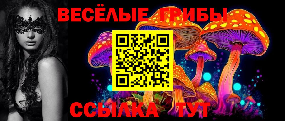 Галлюциногенные грибы мухоморы  Галлюциногенные грибы мицелий  Северск  Вход с VPN 